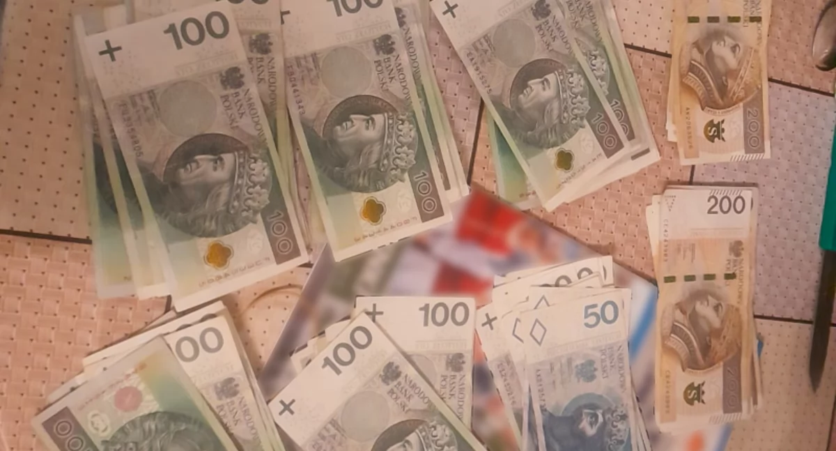 Towar o szacunkowej wartości 186 tysięcy złotych został zabezpieczony, a dodatkowo funkcjonariusze zajęli 10 tysięcy złotych w gotówce na poczet przyszłej kary (Fot. Straż Graniczna)