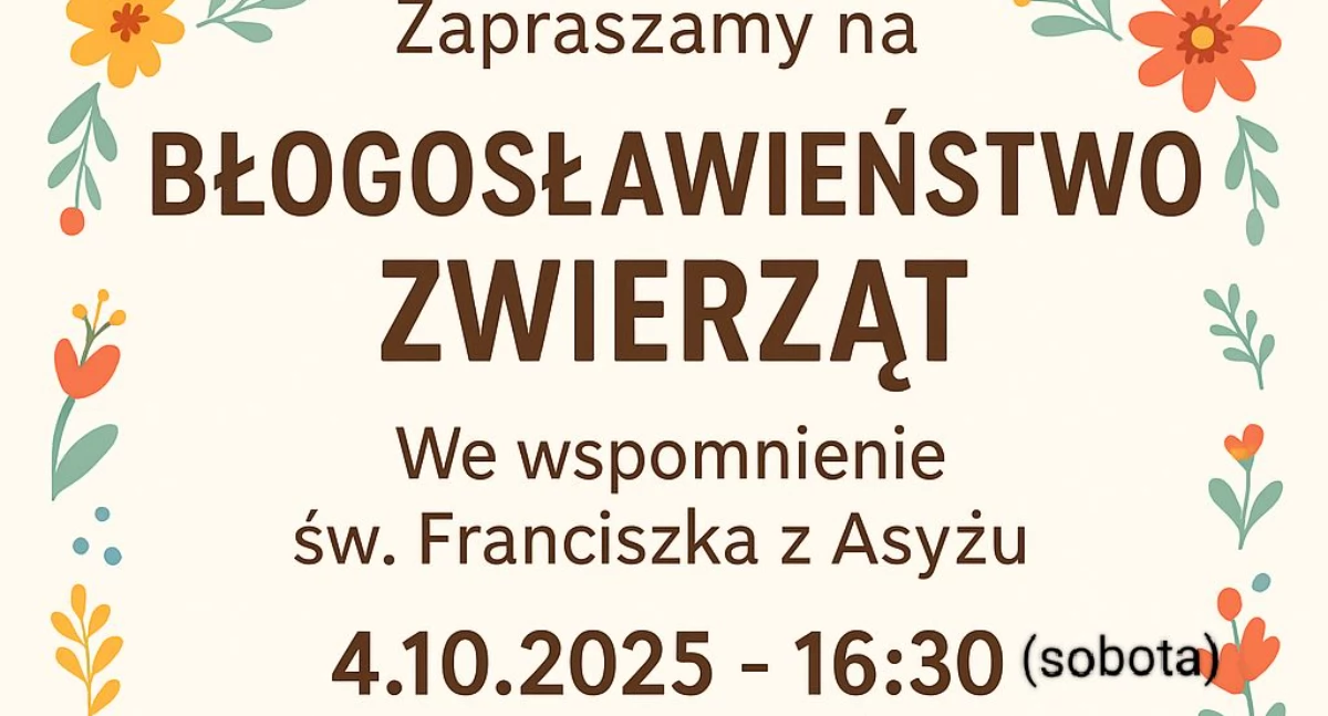 Nowiny, Światowy Dzień Zwierząt Bartoszycach Wolontariusze parafie łączą siły braci mniejszych - zdjęcie, fotografia