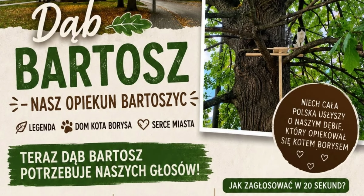 Fot. Stowarzyszenie Integracji Osób Niepełnosprawnych SION