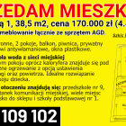 Zdjęcie nr 1