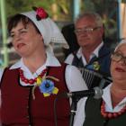 zdjęcie nr 201