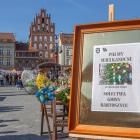 zdjęcie nr 13