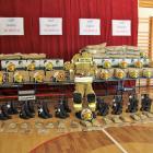 IMG_2717 (2)