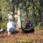 zdjęcie nr 77