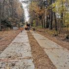 IMG_20201102_131117