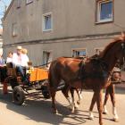 zdjęcie nr 98