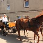 zdjęcie nr 99