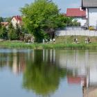 zdjęcie nr 34