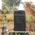 zdjęcie nr 290