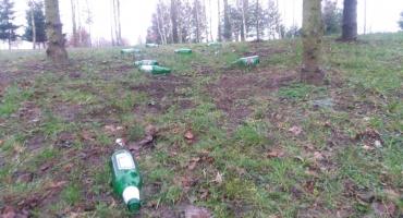 Ślady popijawy w parku przy Jeziorku Mleczarskim